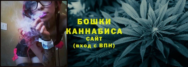 СК Бронницы