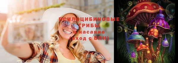 СК Бронницы