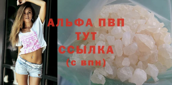 СК Бронницы