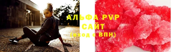 СК Бронницы