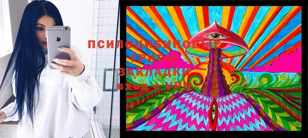 2c-b Струнино