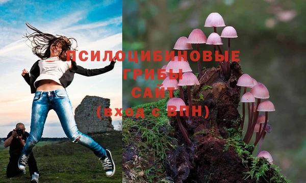 ПСИЛОЦИБИНОВЫЕ ГРИБЫ Бородино