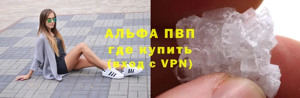 ПСИЛОЦИБИНОВЫЕ ГРИБЫ Бородино