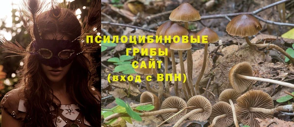 ПСИЛОЦИБИНОВЫЕ ГРИБЫ Бородино