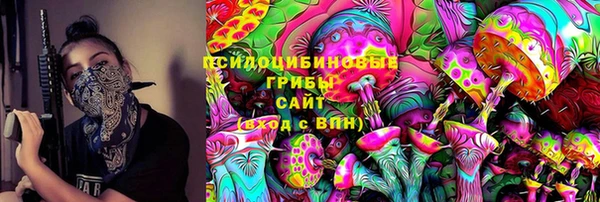 ПСИЛОЦИБИНОВЫЕ ГРИБЫ Бородино