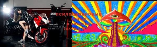 2c-b Струнино