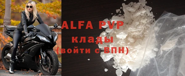 ПСИЛОЦИБИНОВЫЕ ГРИБЫ Бородино