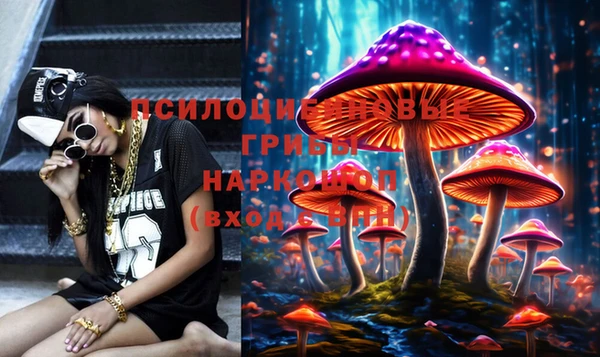 ПСИЛОЦИБИНОВЫЕ ГРИБЫ Бородино